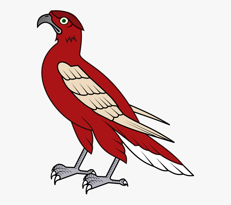 เวก เตอร์ เหยี่ยว, Transparent Clipart