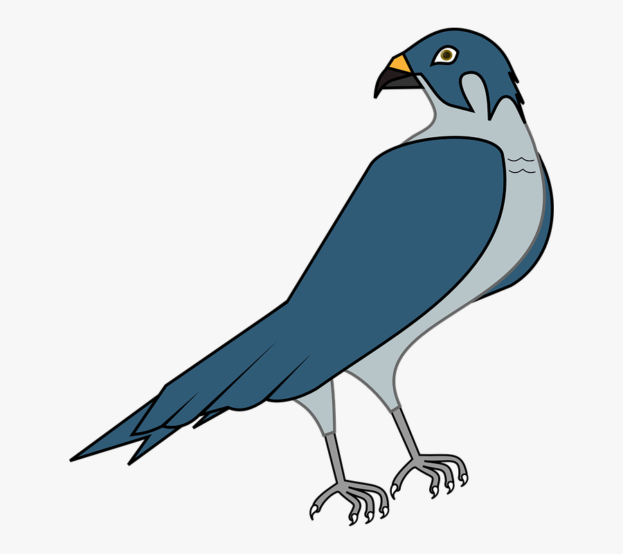 Peregrine Falcon Clipart, Transparent Clipart