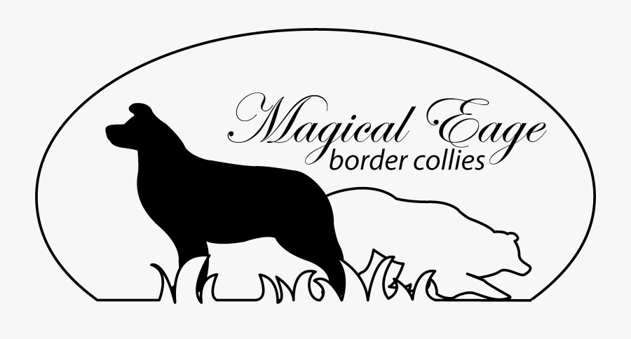 Dog Catches Something, Transparent Clipart