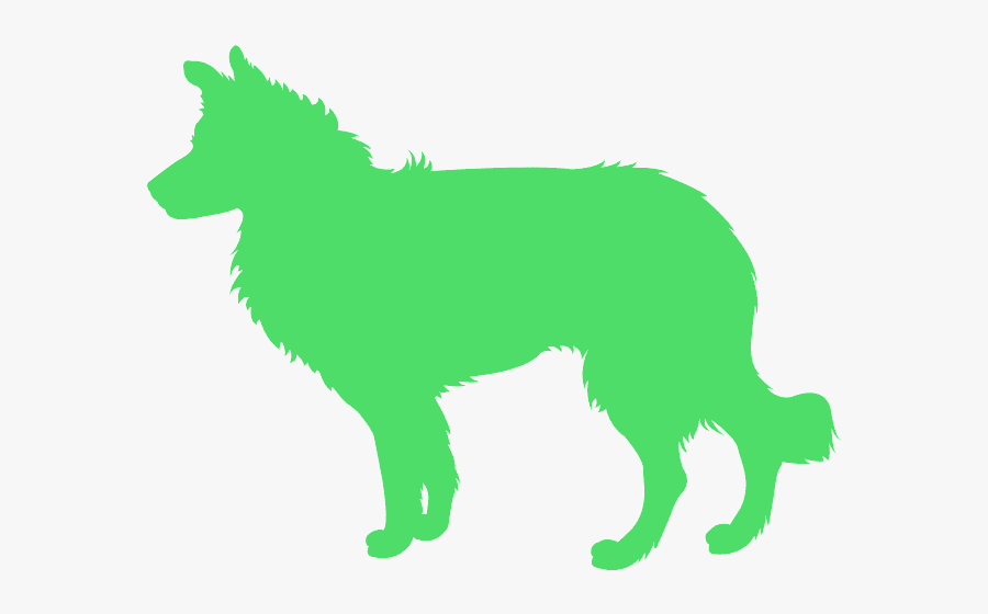 Silhouette Of A Border Collie, Transparent Clipart