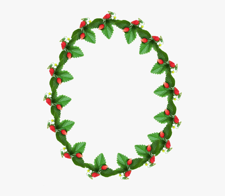 Mandalas En Crochet Para Colgar, Transparent Clipart