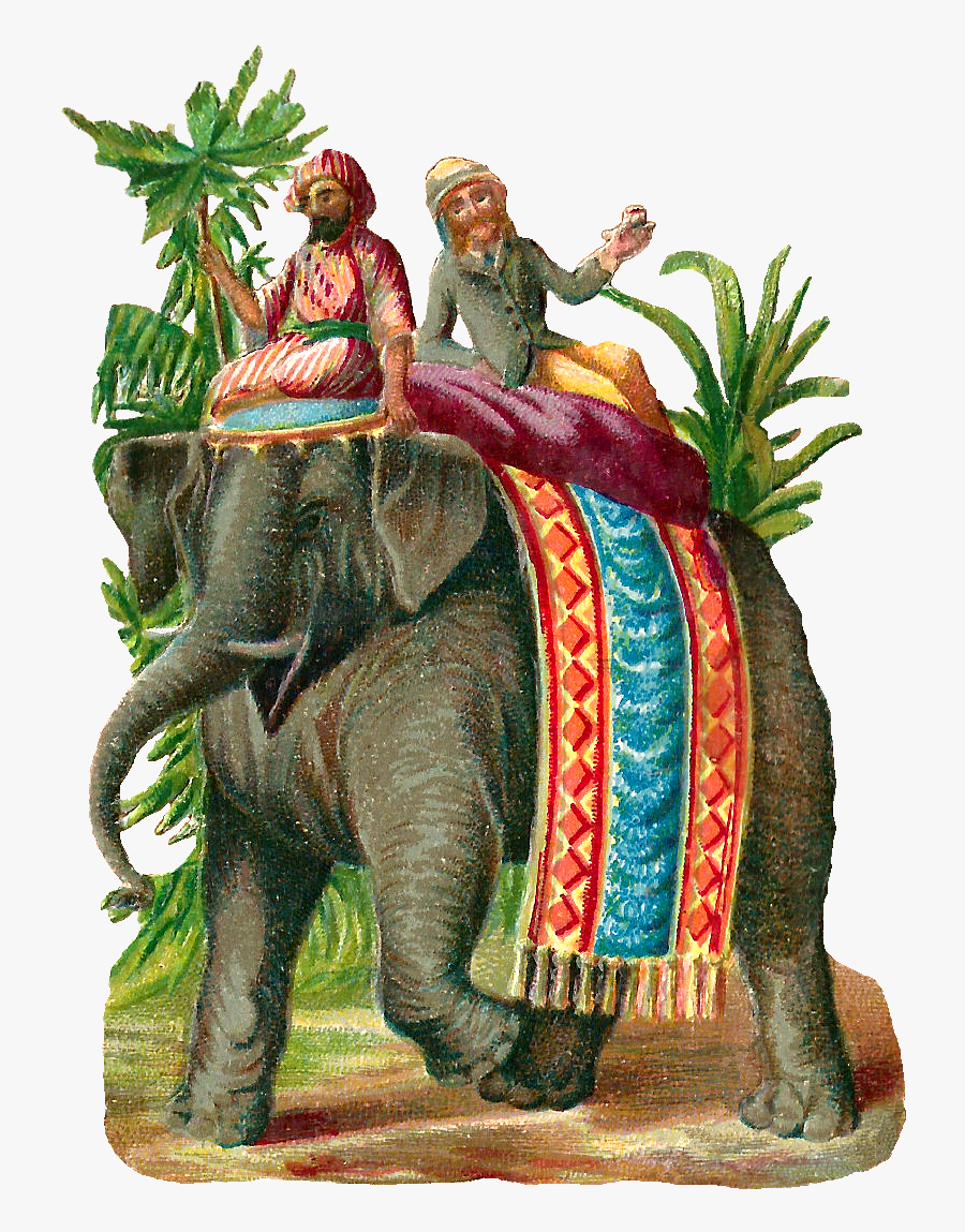 Stock Elephant Animal Clip Art - Indian Elephant, Transparent Clipart