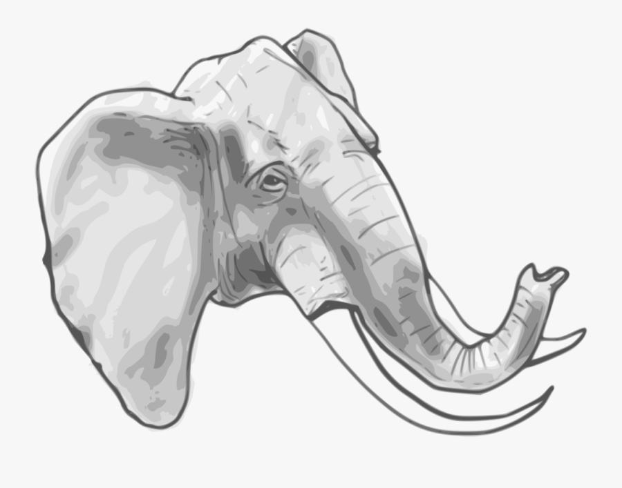 Monochrome Photography,figure Drawing,monochrome - White Elephant Head Transparent Background, Transparent Clipart