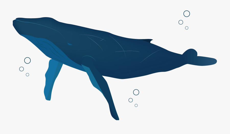 Blue Whale, Transparent Clipart