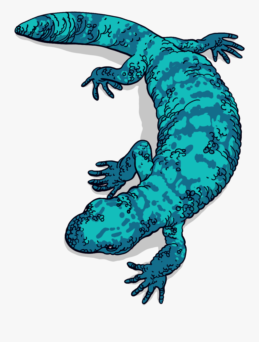 Gila Monster Clipart Lizard One Synthesized Exenatide - Lizard, Transparent Clipart