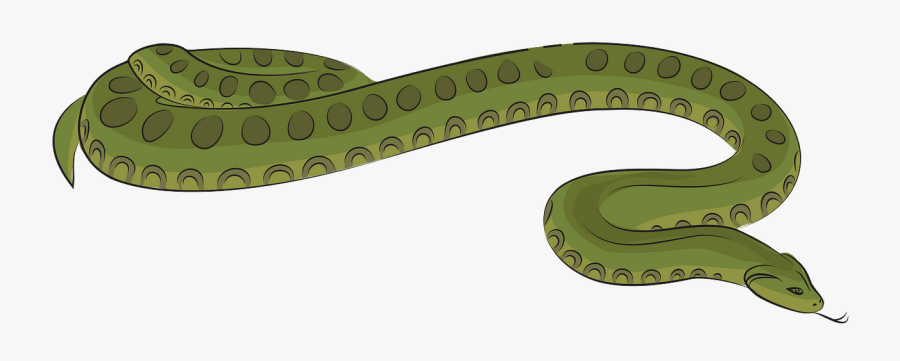 Plains Gartersnake, Transparent Clipart