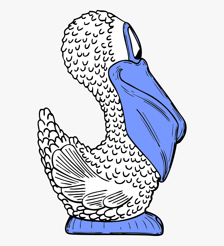 Bird Pelican Comic Cartoon - Pelicano De Lado, Transparent Clipart