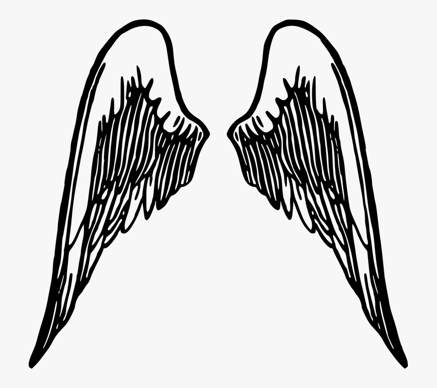 Cartoon Angel Wings No Background, Transparent Clipart