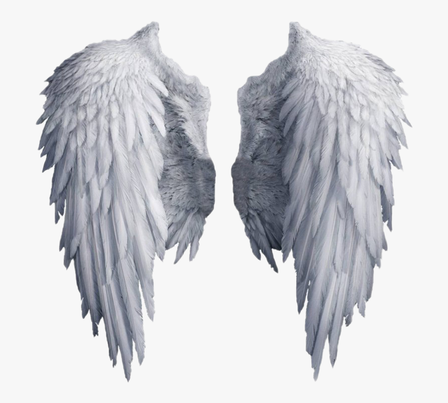 Realistic Angel Wings Png Image - Transparent Angel Wings Png, Transparent Clipart