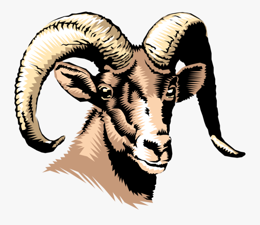 Mountain Goat Royalty Free Vector Clip Art Illustration - Southern Regional High School Rams, Transparent Clipart