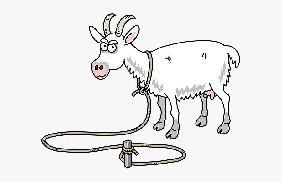 Burro, Transparent Clipart