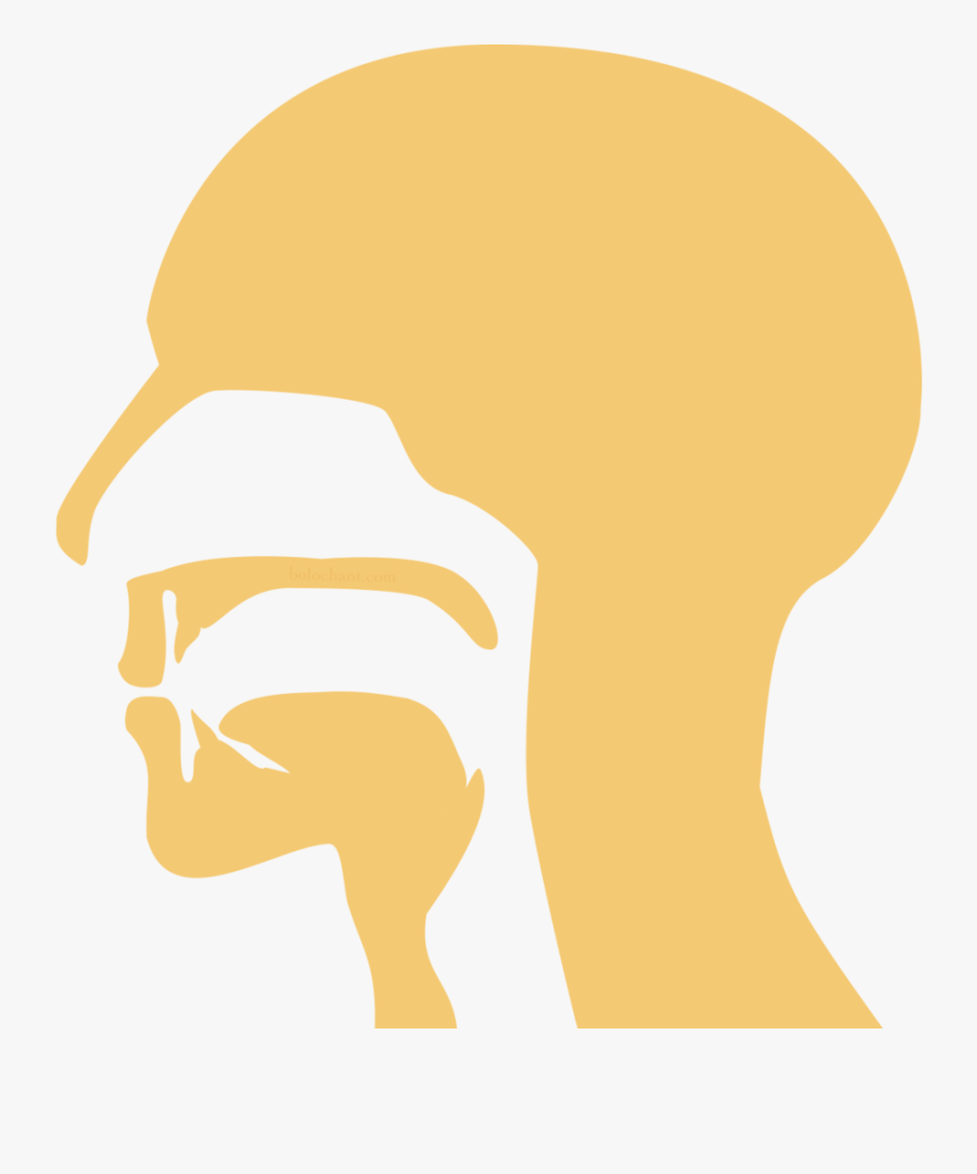 Labial Mouth Position, Transparent Clipart