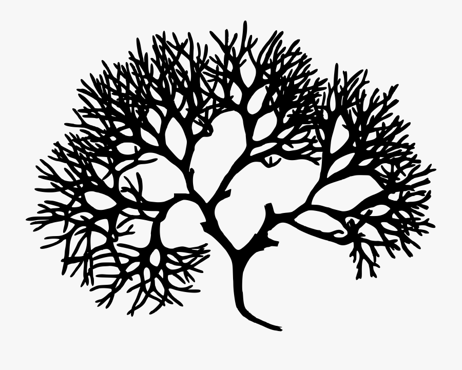 Coral Vector - Algae Black And White, Transparent Clipart