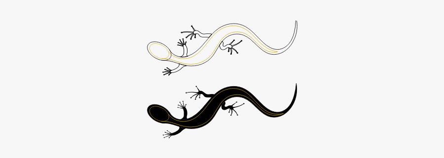 Vector Graphics Of Lizards - Illustration, Transparent Clipart
