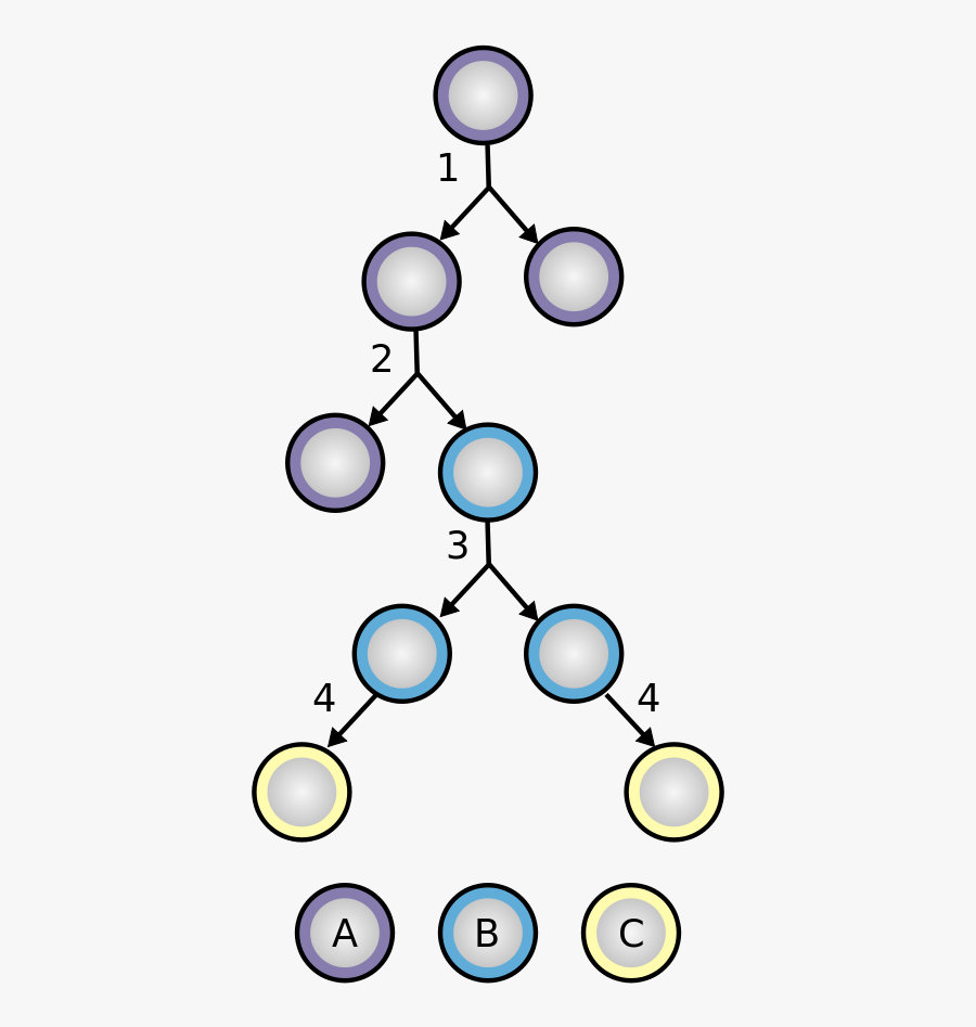 Stem Cell Clip Art, Transparent Clipart