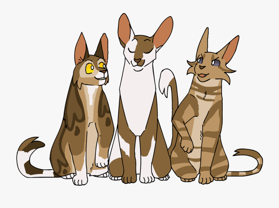 Crowfeathers Trial, Transparent Clipart