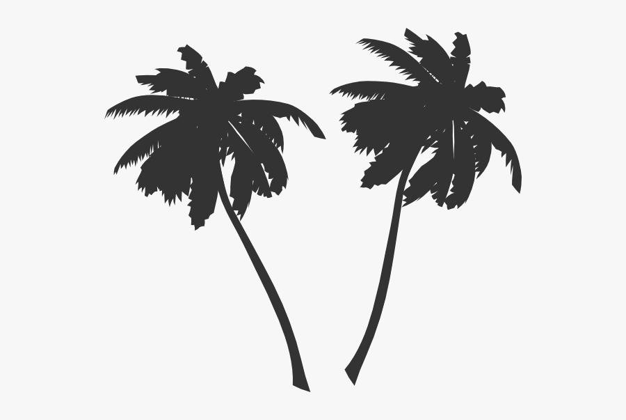 Palm Trees Vector Png, Transparent Clipart