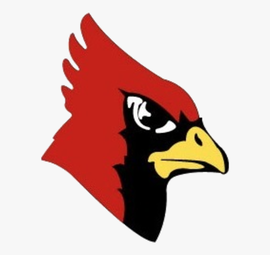 Yellow Medicine East Sting Play Redwood Valley Cardinals - Redwood Valley High School, Transparent Clipart