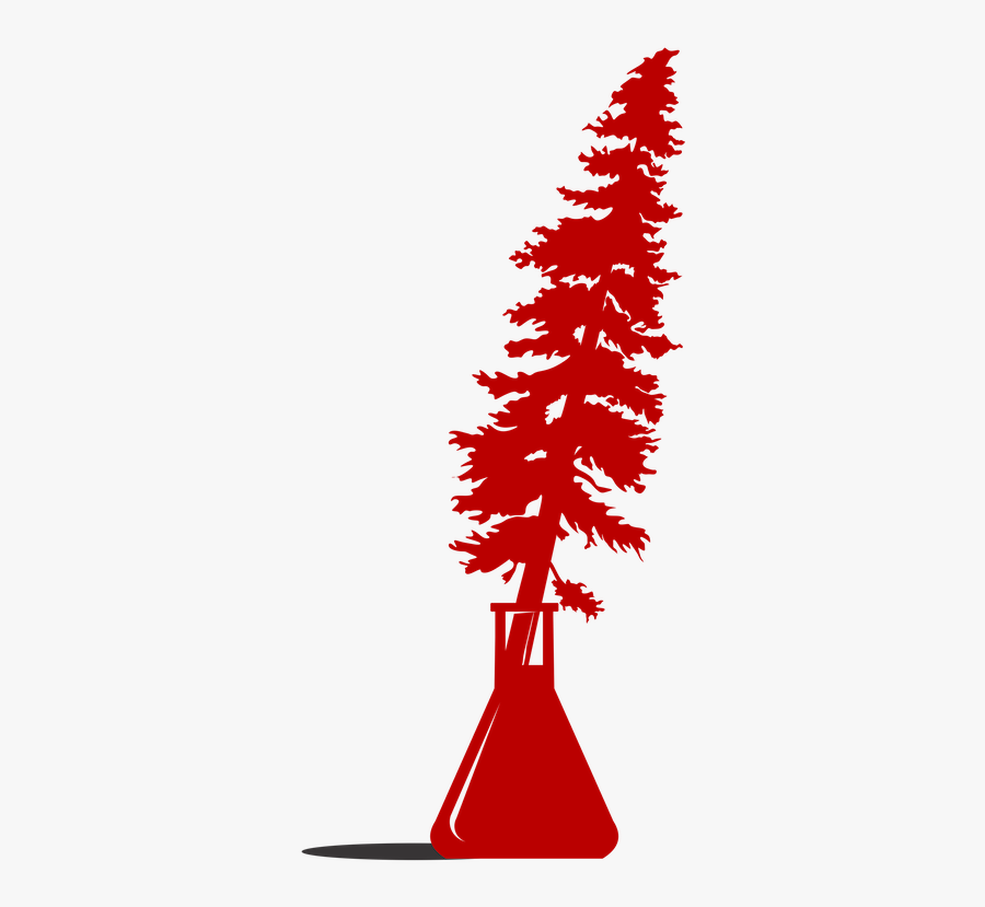 Redwood Clip Art, Transparent Clipart