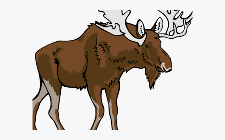 Transparent Moose Antler Clipart - Moose Clipart Png, Transparent Clipart