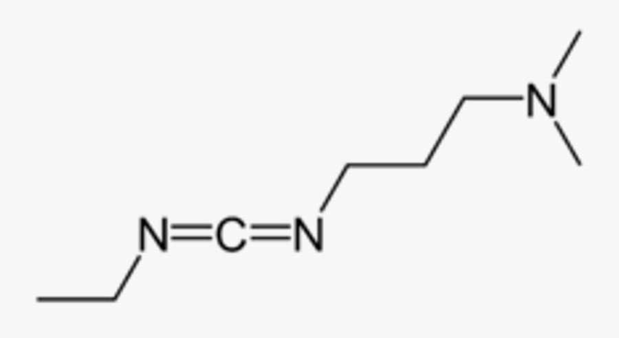 Line Art, Transparent Clipart