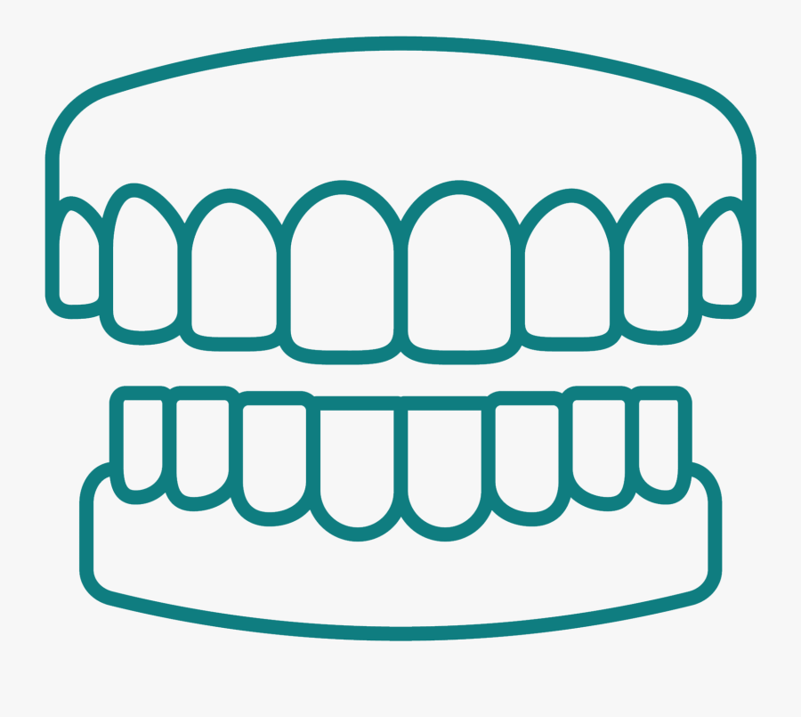 1st Class Dentures - Outline Of Gums Without Teeths, Transparent Clipart