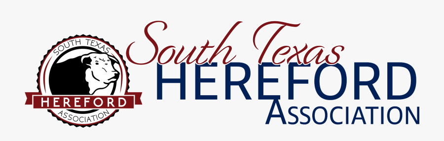 Image - Association Of Interior Specialists, Transparent Clipart