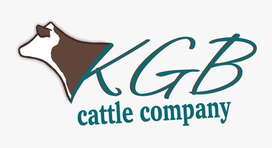 Saigontourist, Transparent Clipart