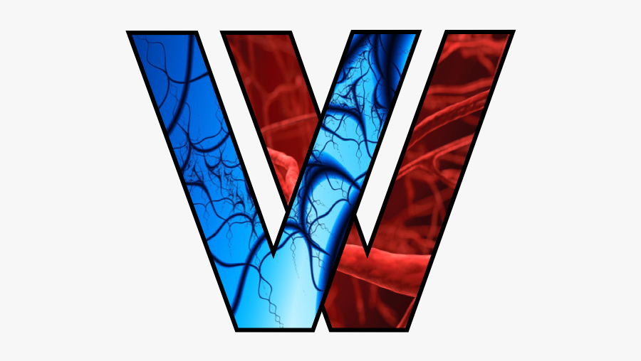 Fond D Écran Gratuit, Transparent Clipart