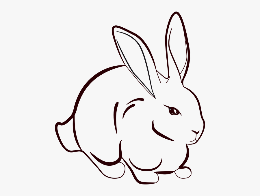 Rabbit Line Art , Free Transparent Clipart - ClipartKey