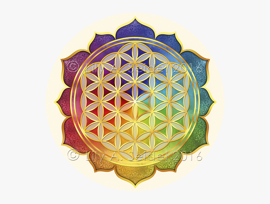 Download Sacred Geometry Overlapping Circles Grid Nelumbo Nucifera ...