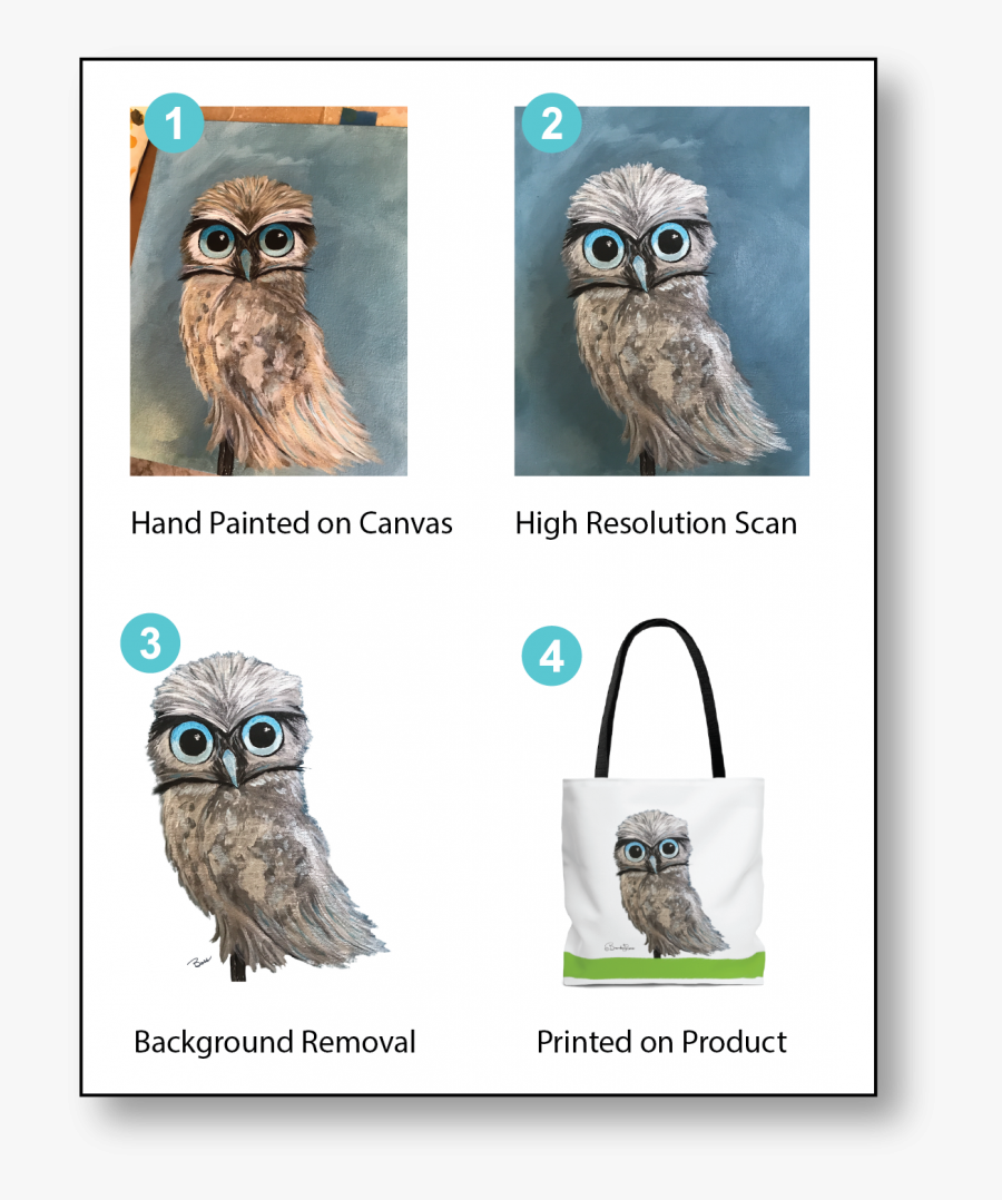 Western Screech Owl, Transparent Clipart