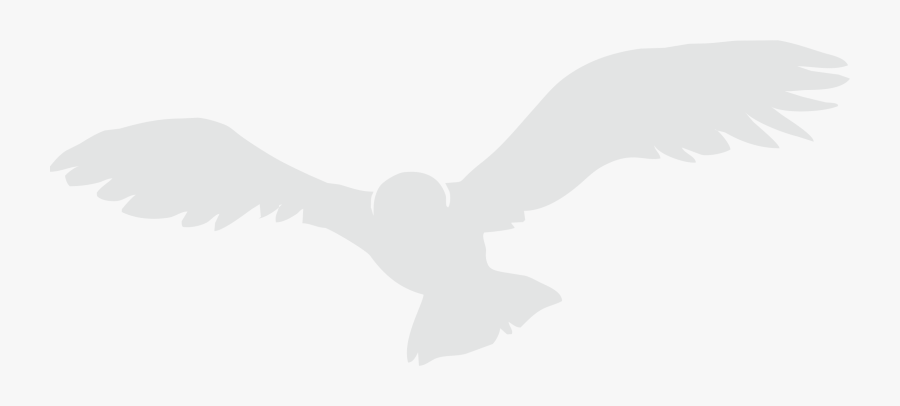 Buzzard, Transparent Clipart