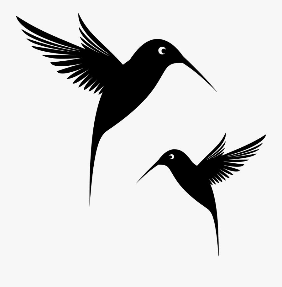 Humming Bird In Black And White, Transparent Clipart