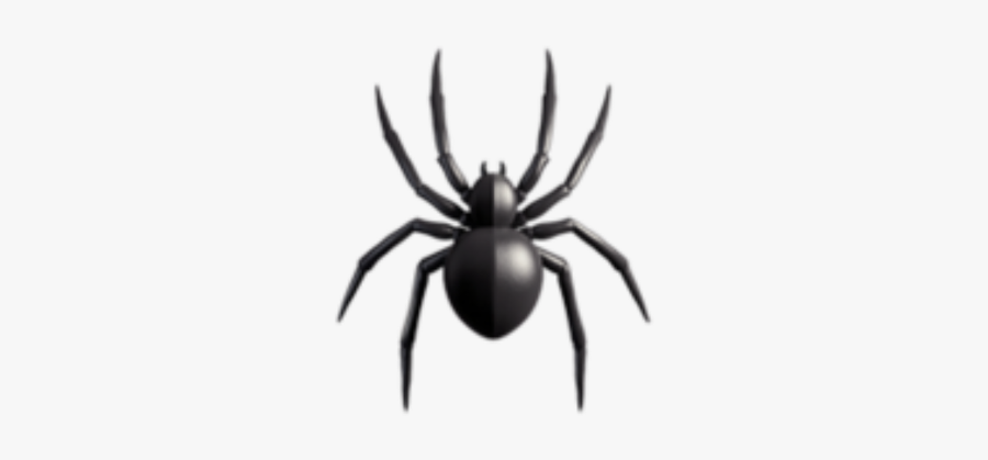 #freetoedit - Wolf Spider, Transparent Clipart