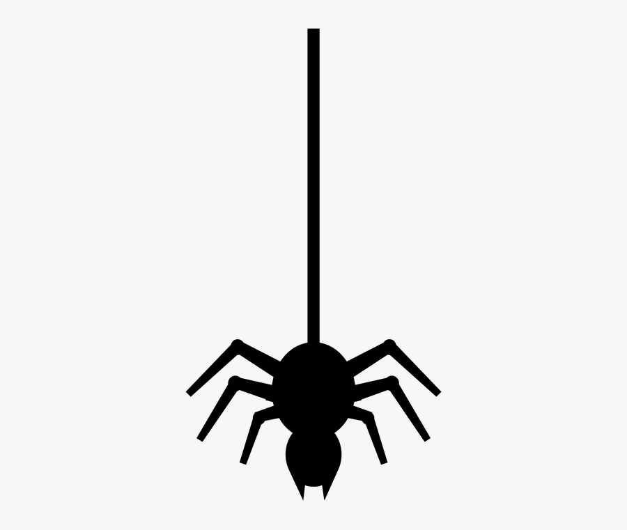 Spider, Transparent Clipart