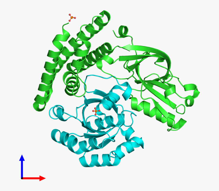 Pdb 3vhl Coloured By Chain And Viewed From The Front, Transparent Clipart