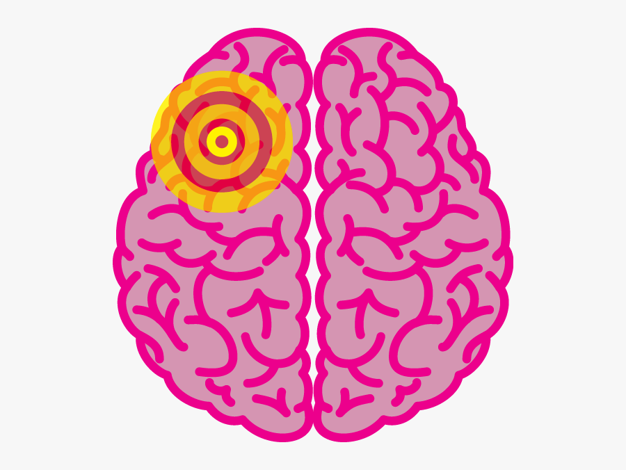 Brain Outline Clipart, Transparent Clipart