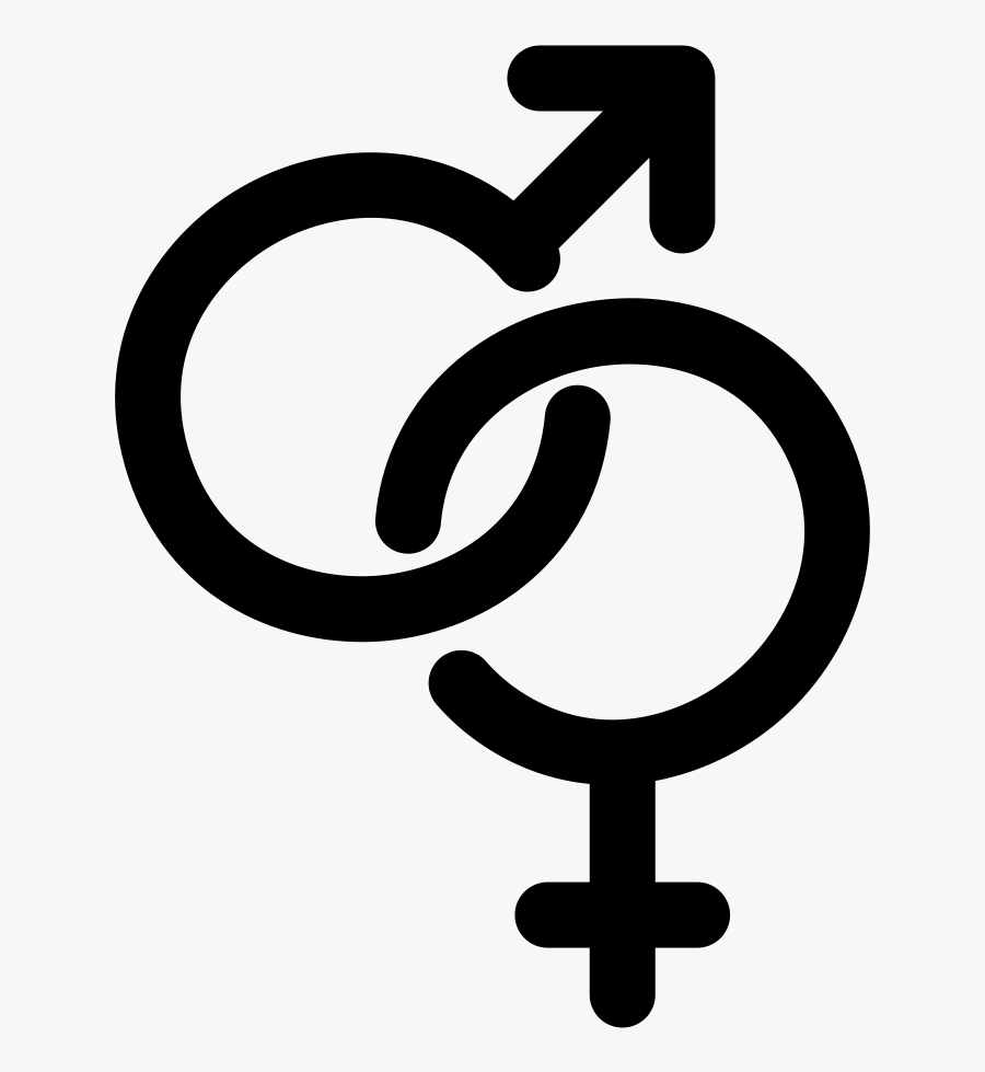 Zebra Fish Sex Chromosomes, Transparent Clipart