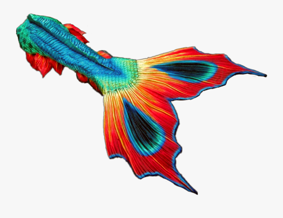 #mermaid #mermaids #tail #fin #tails #fins #fantasy, Transparent Clipart