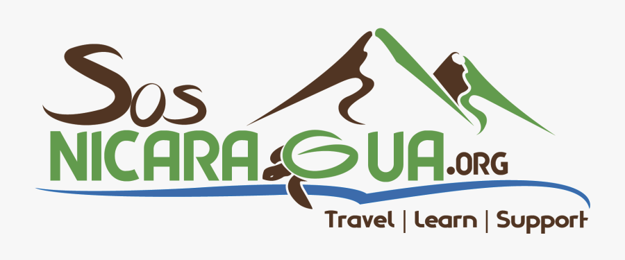 Graphic Design, Transparent Clipart