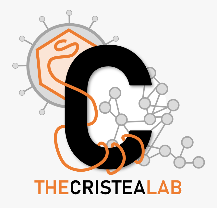 Cristea Lab - Graphic Design, Transparent Clipart