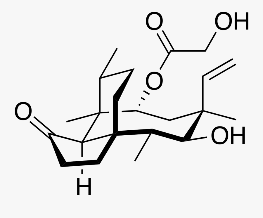 Kainic Acid, Transparent Clipart