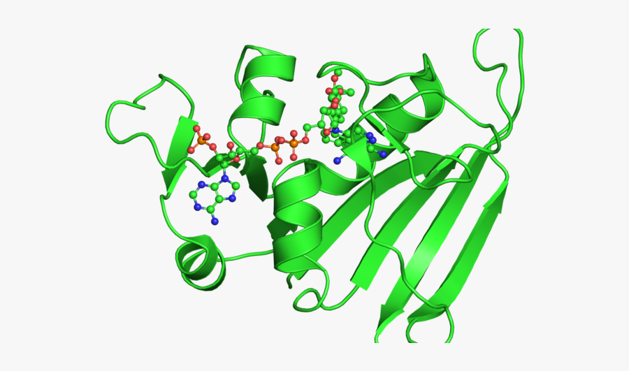 Graphic Design, Transparent Clipart