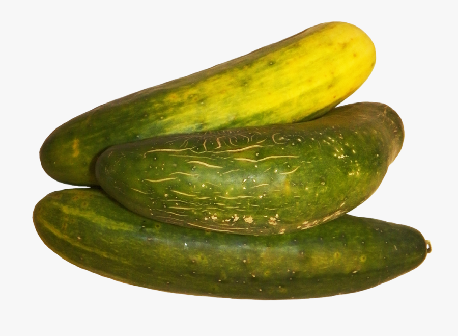 Three Cucumbers Clipart - Spreewald Gherkins, Transparent Clipart