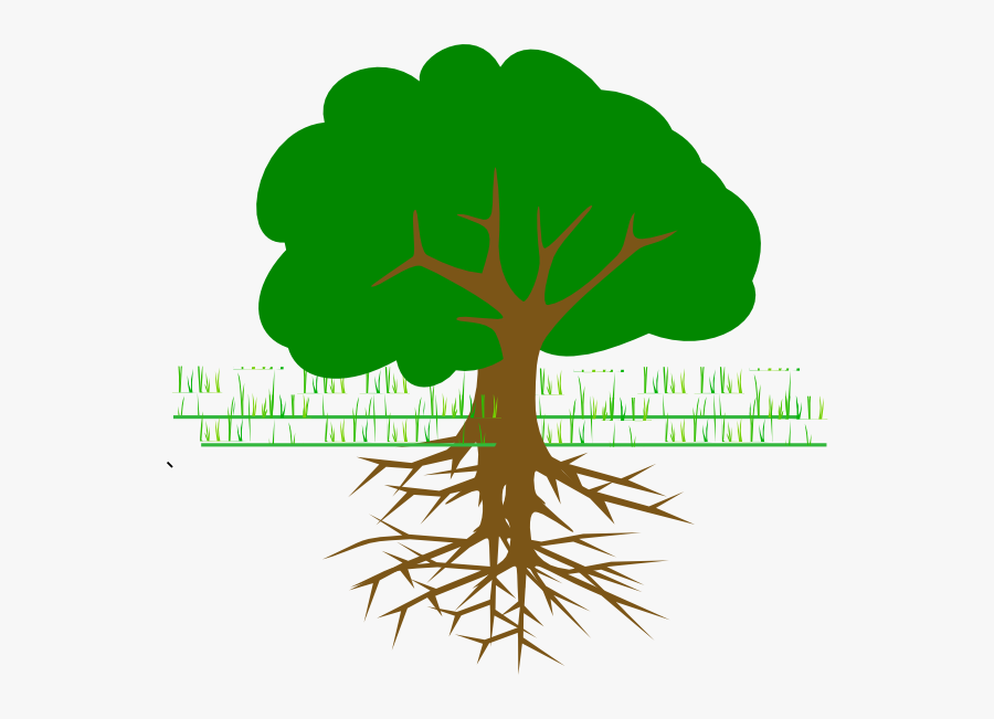 All Part Of Tree, Transparent Clipart