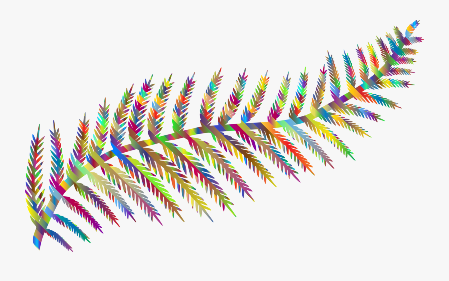 Line,feather,wing - Silver Fern Transparent Background, Transparent Clipart