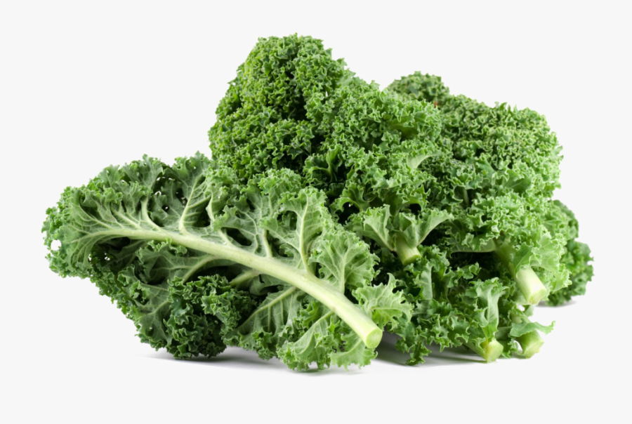 Download Kale Png File For Designing Project - Kale Food, Transparent Clipart
