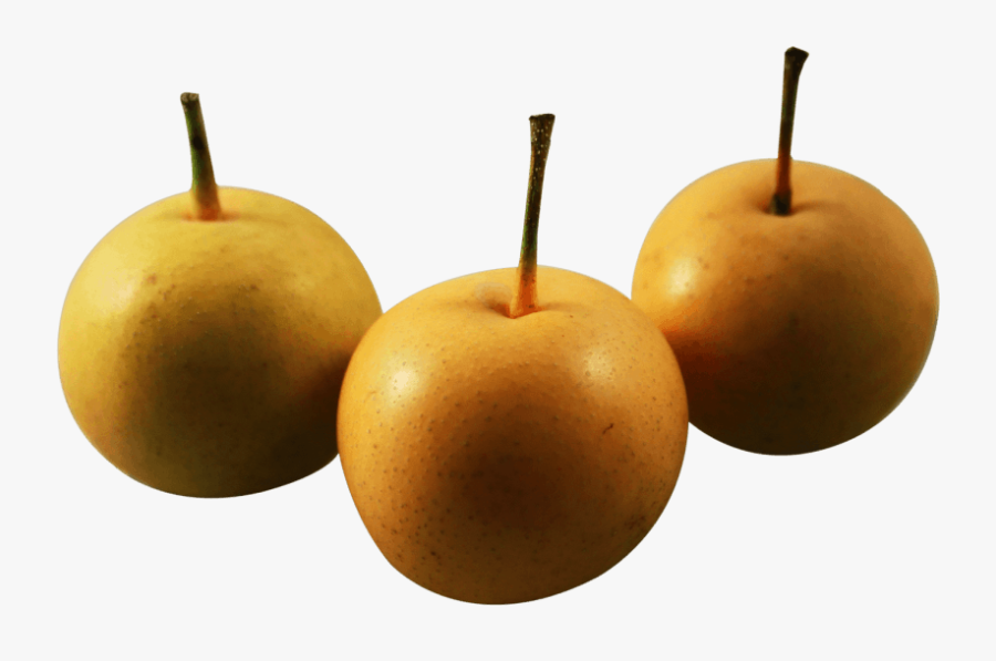 Free Png Asian Nashi Pear Png - Asian Pear Png, Transparent Clipart