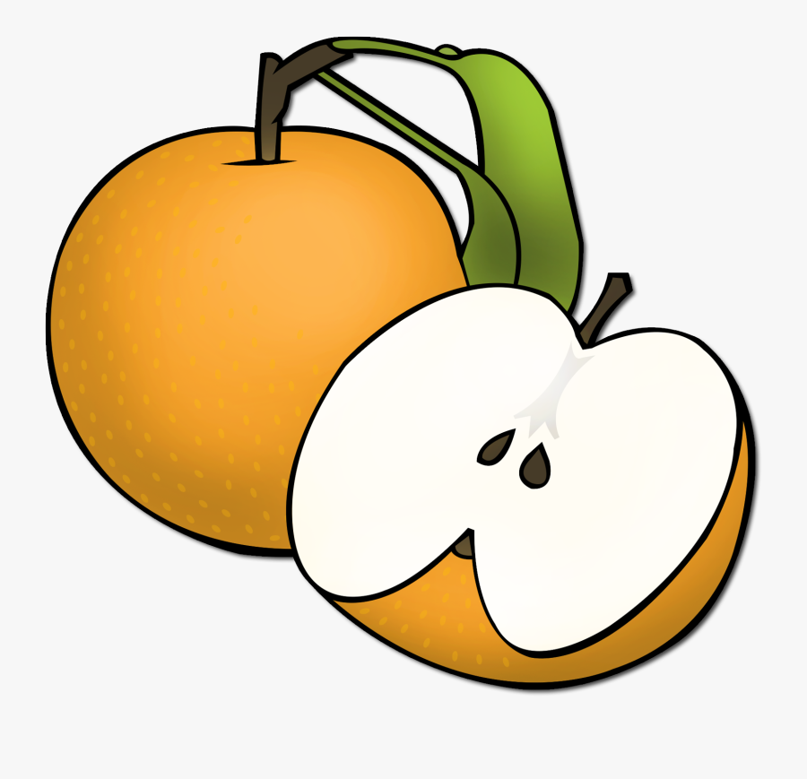 Picturae Database Asian Detail - Cartoon Images Of Asian Pear, Transparent Clipart